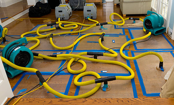 Professional Burst Pipe Water Damage technician working in Heath, OH
